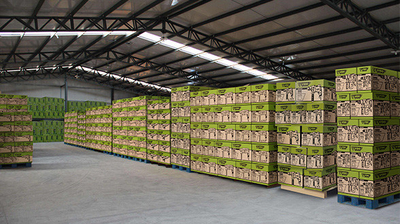 Ellawig companys linha de produção da fábrica